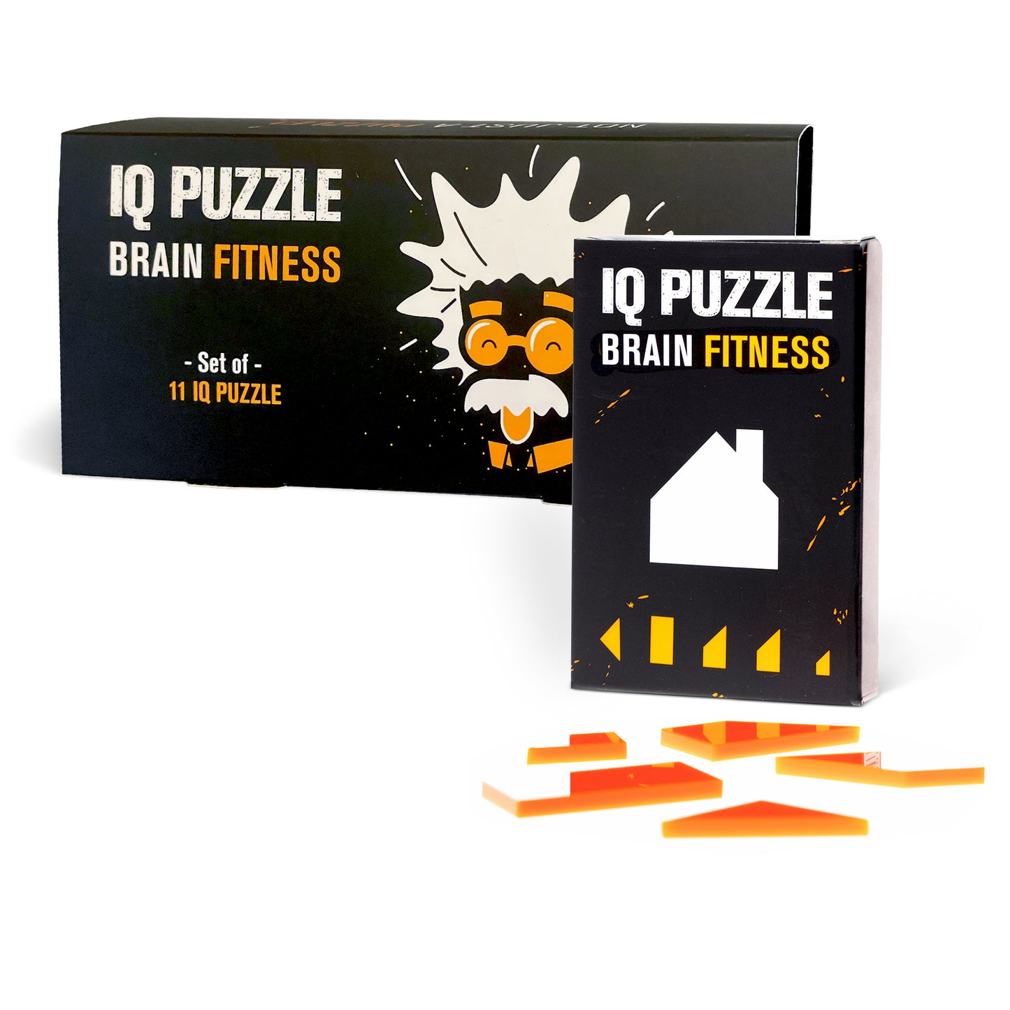 IQ Puzzle Set of 11 - Large Beginner Set