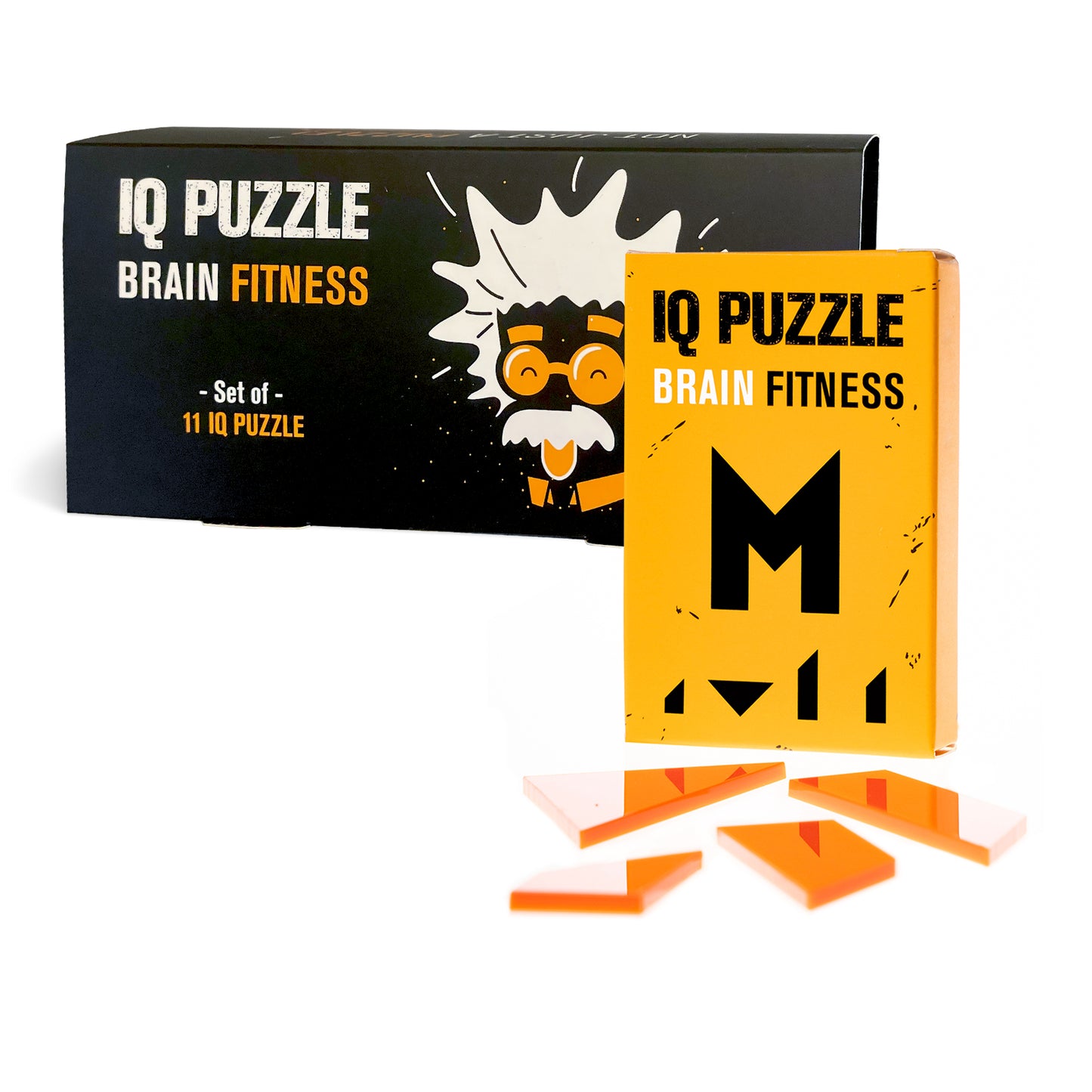IQ Puzzle Set of 11 - Large Beginner Set