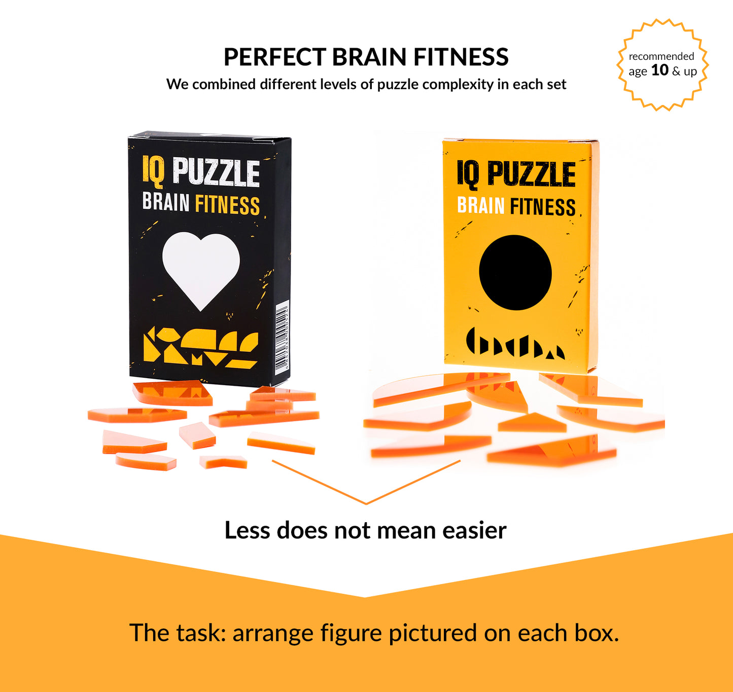 IQ Puzzle Set of 11 - Large Advanced Set