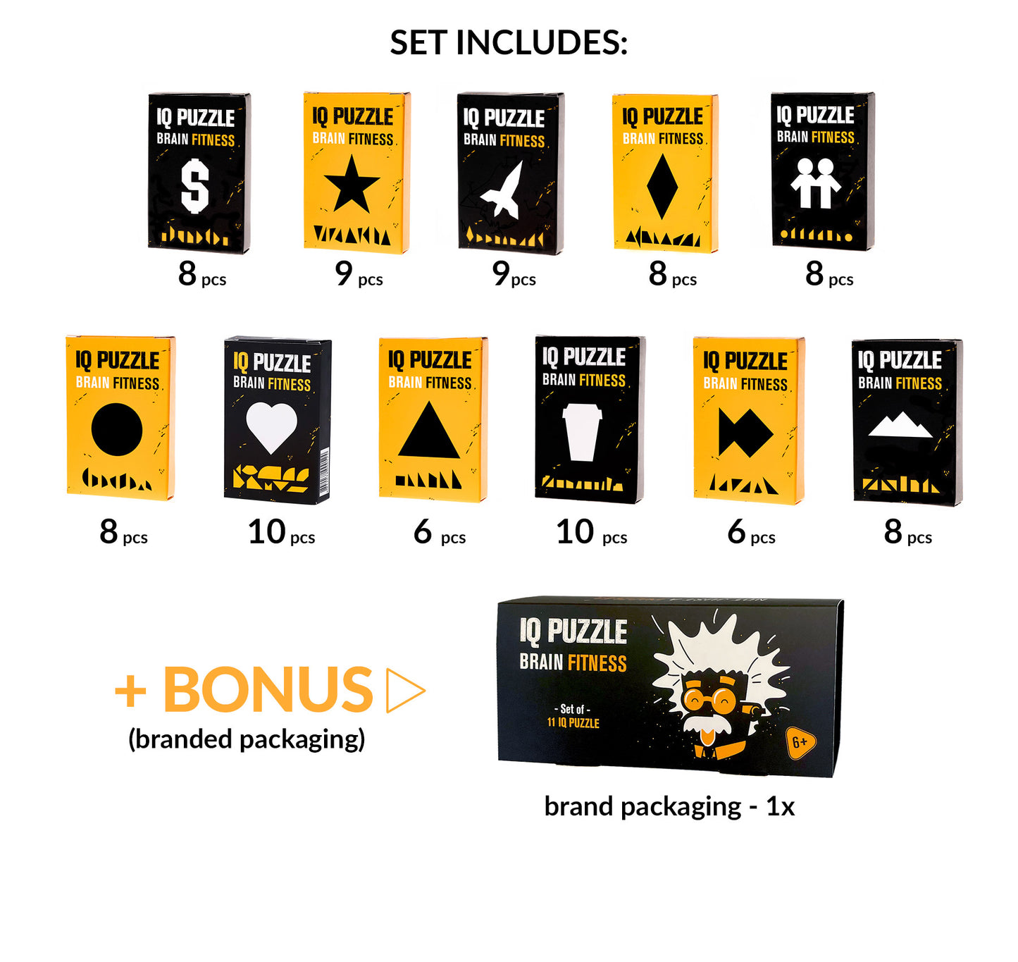 IQ Puzzle Set of 11 - Large Advanced Set