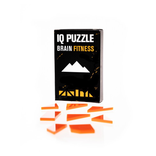 Holidays Edition IQ Puzzle Set of 11 - Large Advanced Set
