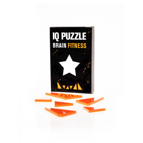 IQ Puzzle Set of 11 - Large Beginner Set