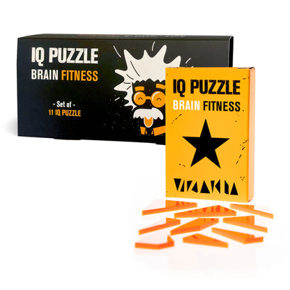 IQ Puzzle Set of 11 - Large Advanced Set