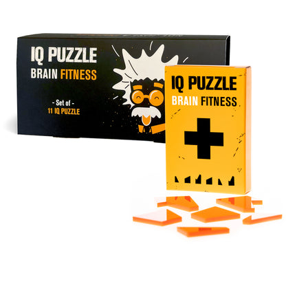 IQ Puzzle Set of 11- Real Geek Set