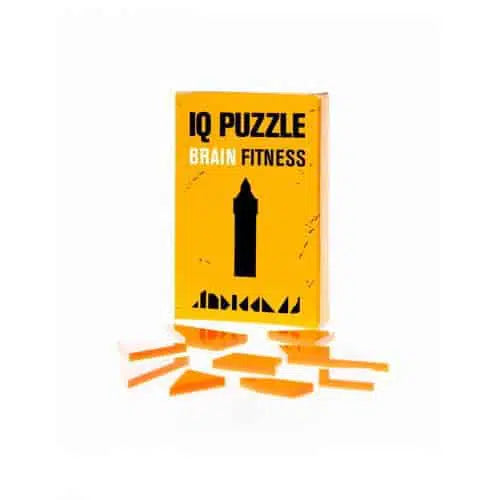 IQ Puzzle Set of 11- Real Geek Set