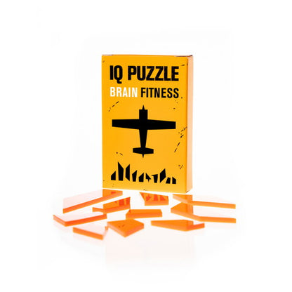 IQ Puzzle Set of 11- Real Geek Set