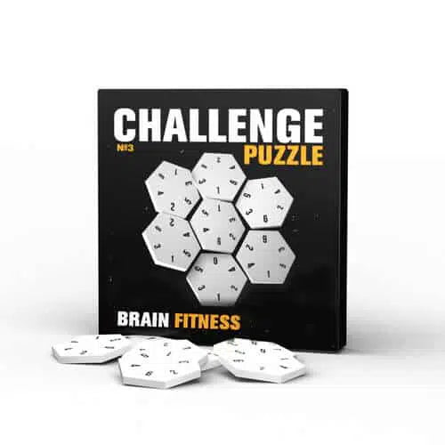 Challenge Puzzle No3, Challenging Puzzle for Kids & Adults